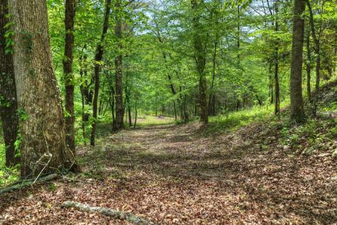 4081 Whitepath Road Cherry Log GA 30522