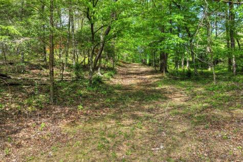 4081 Whitepath Road Cherry Log GA 30522