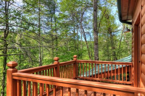 4081 Whitepath Road Cherry Log GA 30522