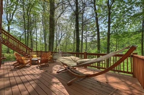 4081 Whitepath Road Cherry Log GA 30522