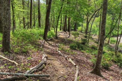 4081 Whitepath Road Cherry Log GA 30522