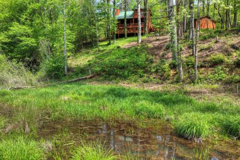 4081 Whitepath Road Cherry Log GA 30522