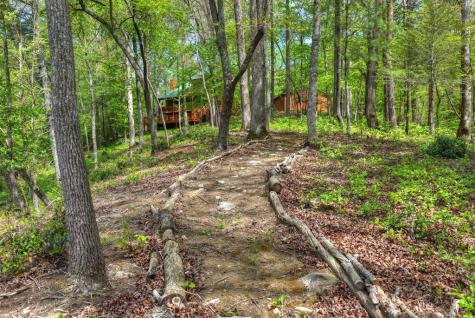 4081 Whitepath Road Cherry Log GA 30522