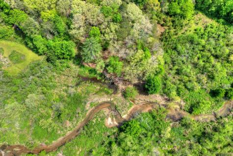 4081 Whitepath Road Cherry Log GA 30522