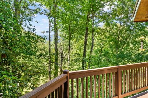 163 Winchester Cove Lane Hayesville NC 28904