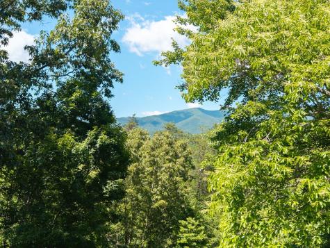 163 Winchester Cove Lane Hayesville NC 28904