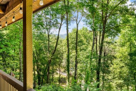 163 Winchester Cove Lane Hayesville NC 28904
