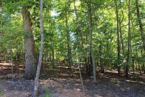 46 Arthur Ridge Brasstown NC 28902