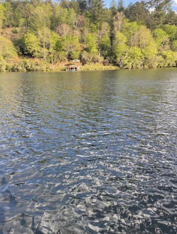 1105 Old Evans Road Murphy NC 28906
