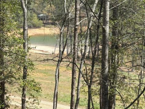 238 Virginia Lane Blairsville GA 30512