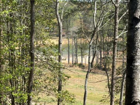 238 Virginia Lane Blairsville GA 30512
