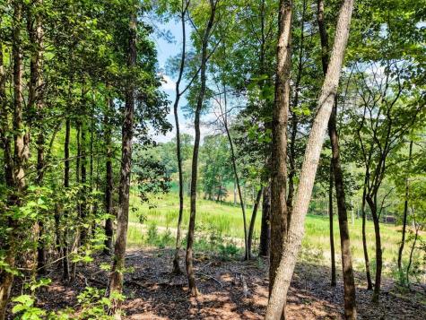 238 Virginia Lane Blairsville GA 30512