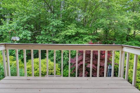 103 Birdie Lane Apt. 3-b Blairsville GA 30512