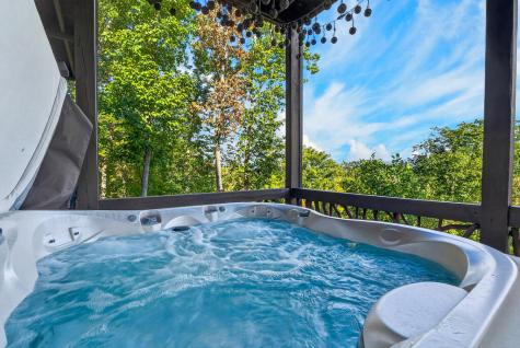 559 Overlook Trail Blue Ridge GA 30513