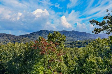 559 Overlook Trail Blue Ridge GA 30513