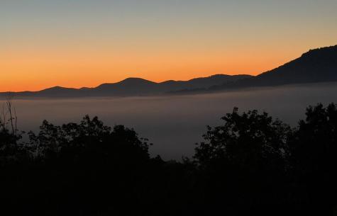 559 Overlook Trail Blue Ridge GA 30513