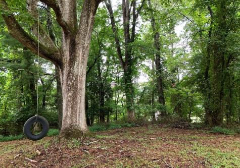 742 Hillcrest Drive Mccaysville GA 30555