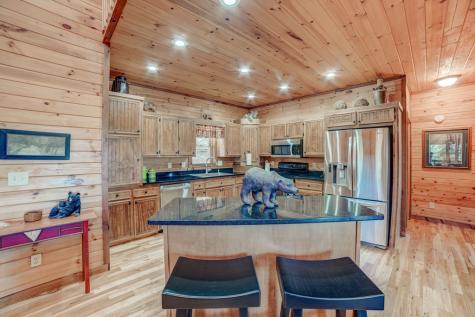 269 Black Gum Lane Blue Ridge GA 30513