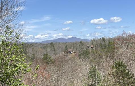269 Black Gum Lane Blue Ridge GA 30513