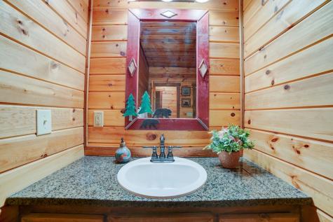 269 Black Gum Lane Blue Ridge GA 30513