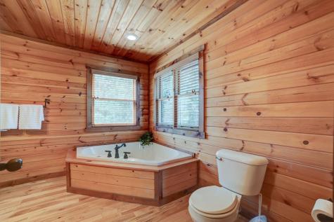 269 Black Gum Lane Blue Ridge GA 30513