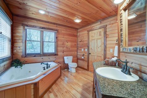 269 Black Gum Lane Blue Ridge GA 30513