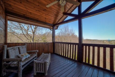 269 Black Gum Lane Blue Ridge GA 30513