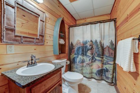 269 Black Gum Lane Blue Ridge GA 30513