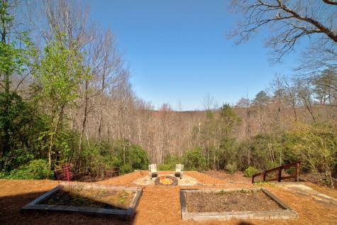 269 Black Gum Lane Blue Ridge GA 30513