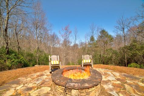 269 Black Gum Lane Blue Ridge GA 30513
