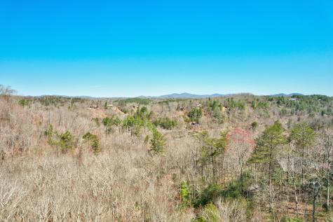 269 Black Gum Lane Blue Ridge GA 30513