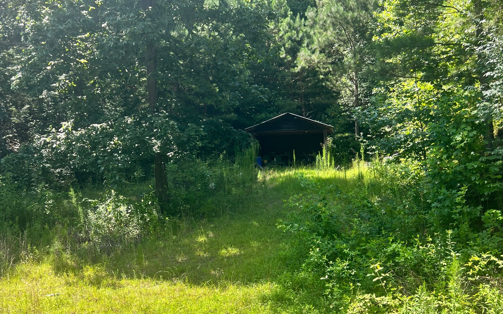 1263 Nugget Lane Ellijay GA 30540