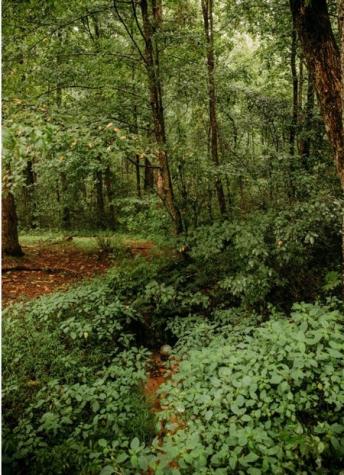200 Old Woodring Road Ellijay GA 30540