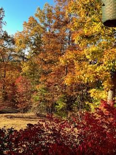 238 Ridge View Lane Hayesville NC 28904