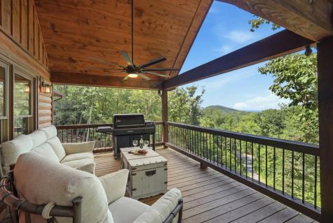 175 Stuart Drive Mineral Bluff GA 30559