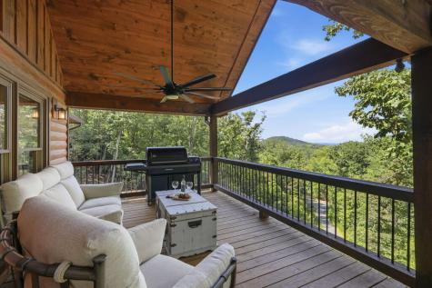 175 Stuart Drive Mineral Bluff GA 30559