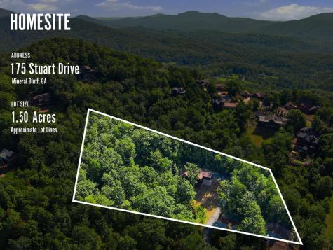 175 Stuart Drive Mineral Bluff GA 30559