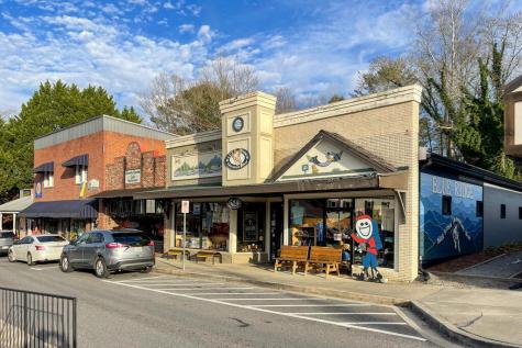 175 Stuart Drive Mineral Bluff GA 30559