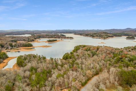 175 Stuart Drive Mineral Bluff GA 30559
