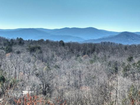 195 Trina Lane Blue Ridge GA 30513
