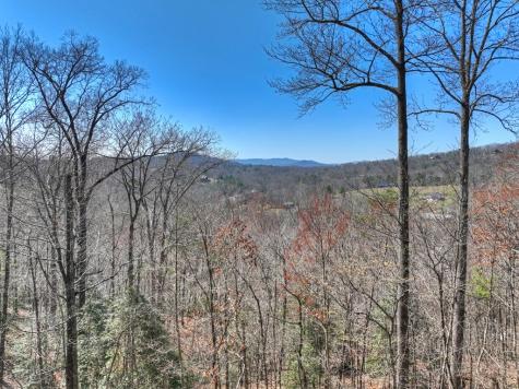 195 Trina Lane Blue Ridge GA 30513