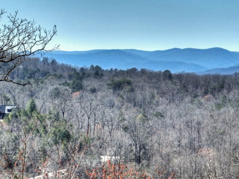 195 Trina Lane Blue Ridge GA 30513