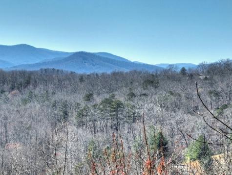 195 Trina Lane Blue Ridge GA 30513
