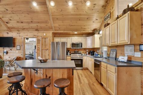 195 Trina Lane Blue Ridge GA 30513