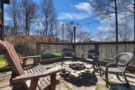 195 Trina Lane Blue Ridge GA 30513