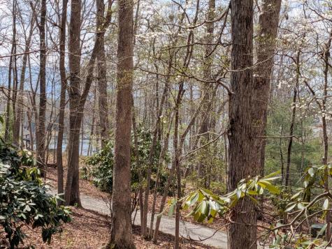 223 Mountain Breezes Drive Hayesville NC 28904