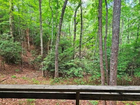 252 Barefoot Lane Murphy NC 28906