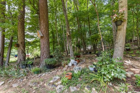 11690 Old Highway 76 Morganton GA 30560