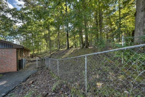 37 Lakeview Circle Morganton GA 30560