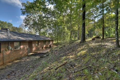 37 Lakeview Circle Morganton GA 30560